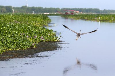 55203733 901ملوان