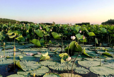 yNjo19ViB3OnYdrelIuDS43PShiFxYdfCx3iWDuiملوان